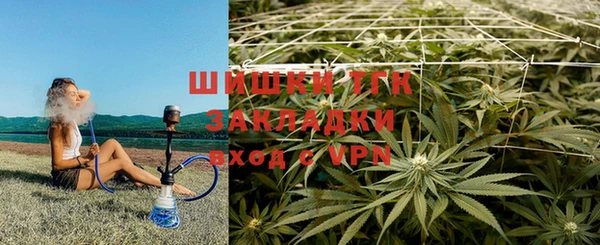 прущие крисы Абаза
