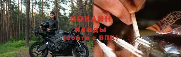 прущие крисы Абаза