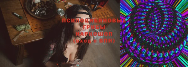 индика Жердевка