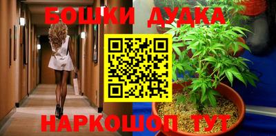 ГАЛЛЮЦИНОГЕННЫЕ ГРИБЫ Кингисепп