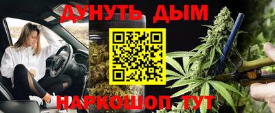 ГАЛЛЮЦИНОГЕННЫЕ ГРИБЫ Кингисепп