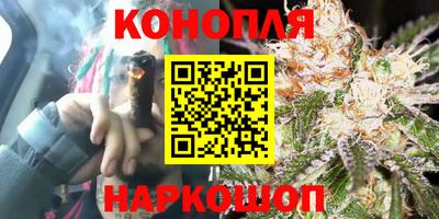ГАЛЛЮЦИНОГЕННЫЕ ГРИБЫ Кингисепп