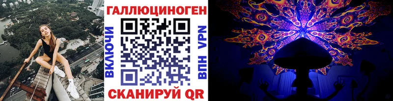Псилоцибиновые грибы Cubensis  Лосино-Петровский 