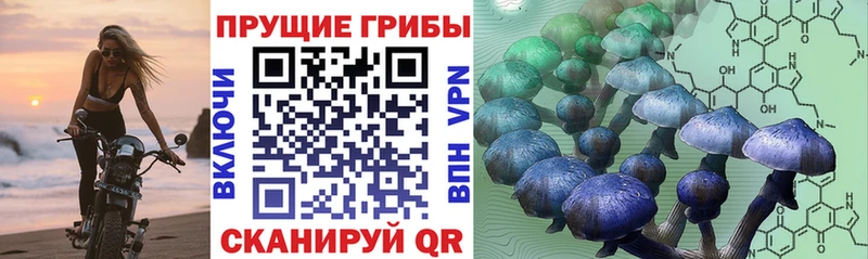 Галлюциногенные грибы ЛСД Лосино-Петровский