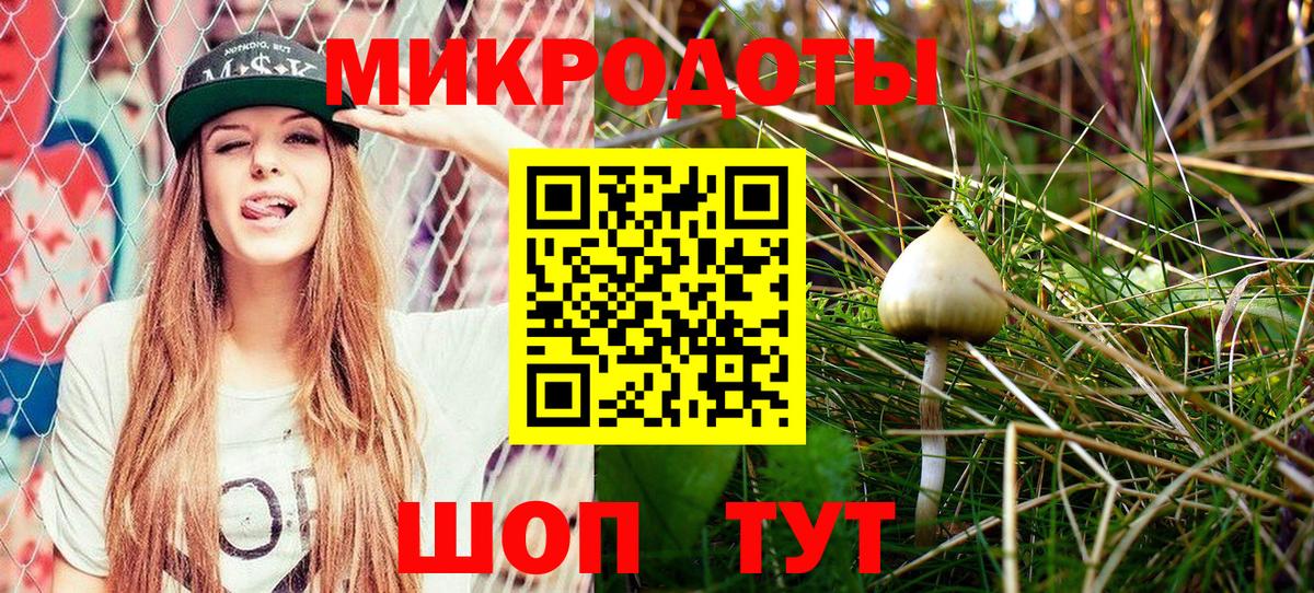 Псилоцибиновые грибы мухоморы Лосино-Петровский