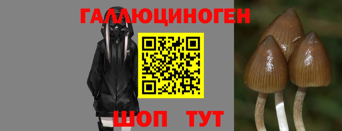 Лосино-Петровский  Галлюциногенные грибы MAGIC MUSHROOMS  Вход с VPN 